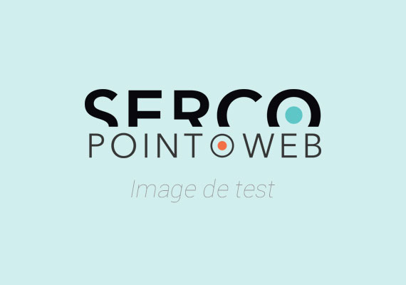 Serco Point Web